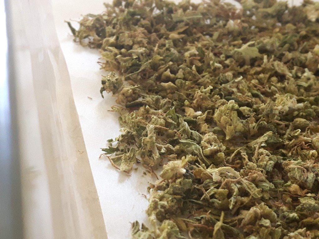 Begin at the beginning –&nbsp;Decarboxylation